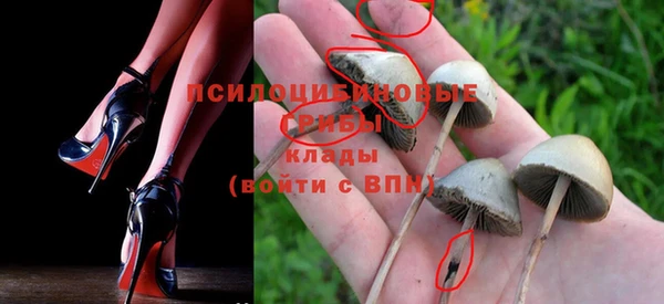 гидропоника Инта