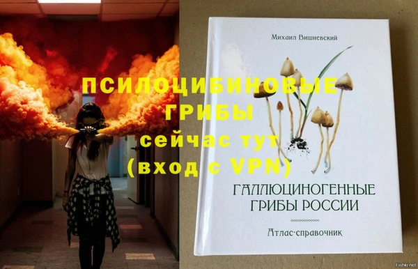 спиды Иннополис