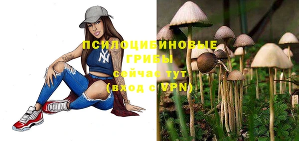 скорость Зеленокумск